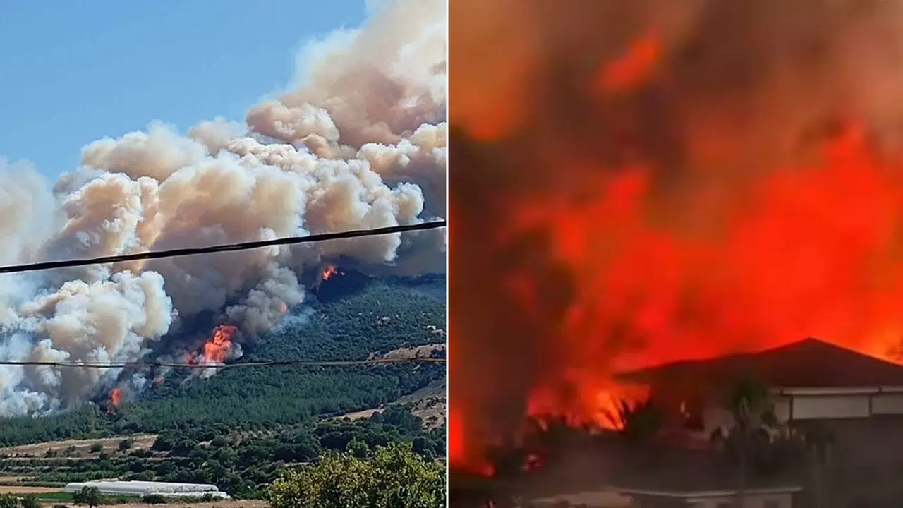 Türkiye’nin ciğerleri yanıyor… Birçok şehirde orman yangını: Hastane ve evler tahliye edildi, yollar kapatıldı!