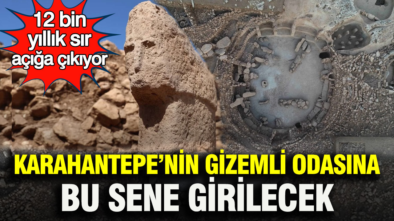 12 bin yıllık sır açığa çıkıyor: Karahantepe’nin gizemli odasına bu sene girilecek Img