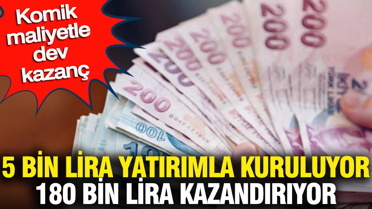 5 bin lira yatırımla kuruluyor 180 bin lira kazandırıyor: Komik maliyetle dev kazanç Img